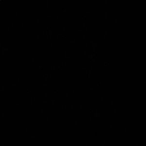 Meet your Posher, Ella